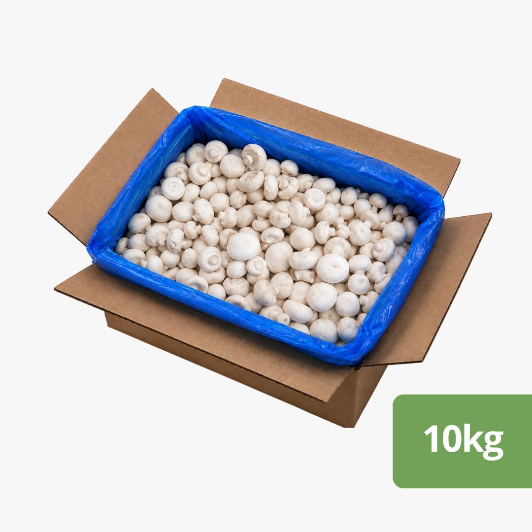 Frozen Champignon Mushroom 10kg
